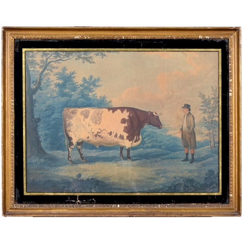 1081 - John Whessell (c.1760-after 1820) after John Boultbee – The Durham Ox, aquatint, printed in colour, ... 