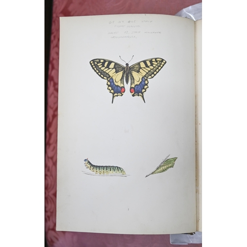 984 - Antiquarian and Later Books. Natural History, Lepidoptery: Morris (The Rev. F.O.), A History of Brit... 