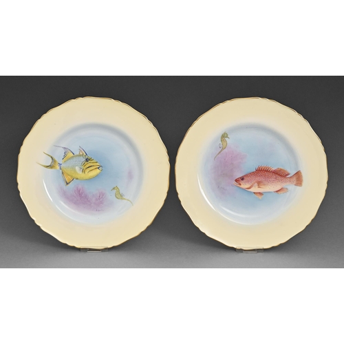 5 - A pair of Royal Worcester plates, c1934, painted with fish, 23cm diam, printed puce mark, painted QU... 