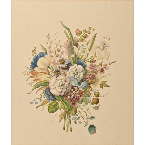 664 - English School, late 19th century - Botanical Studies, a pair, watercolour, unframed, 33cm x 28cm (2... 