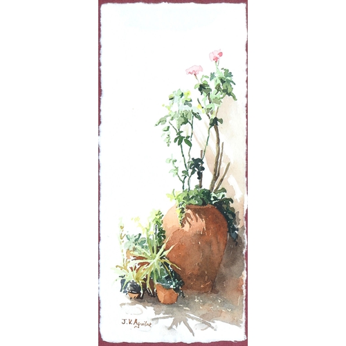 686 - Majorcan School, late 20th century - Plants Growing in Terracotta Pots, a pair, approx 25cm x 11cm (... 