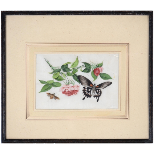 689 - Chinese School, 19th century - Botanical Subjects with Butterflies, a set of four, rice paper painti... 