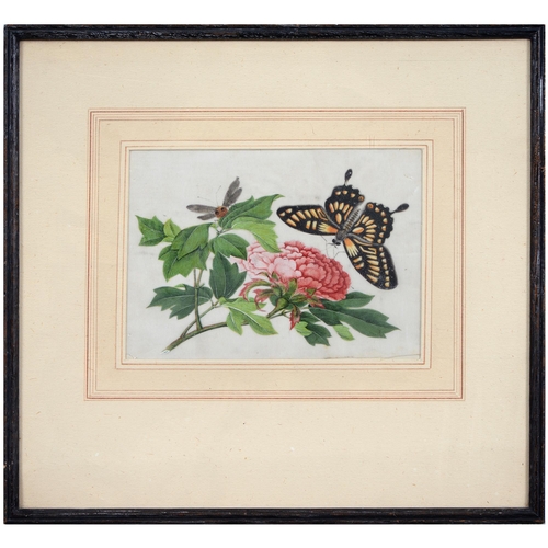 689 - Chinese School, 19th century - Botanical Subjects with Butterflies, a set of four, rice paper painti... 