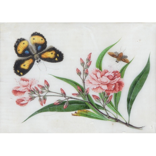 689 - Chinese School, 19th century - Botanical Subjects with Butterflies, a set of four, rice paper painti... 