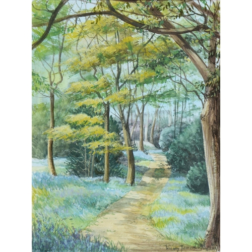 719 - Hilary Johnson, 20th century - Bluebell Walk, signed, watercolour, 26cm x 19cm, Angus Sterling - Far... 