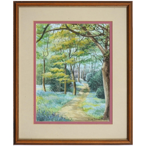 719 - Hilary Johnson, 20th century - Bluebell Walk, signed, watercolour, 26cm x 19cm, Angus Sterling - Far... 