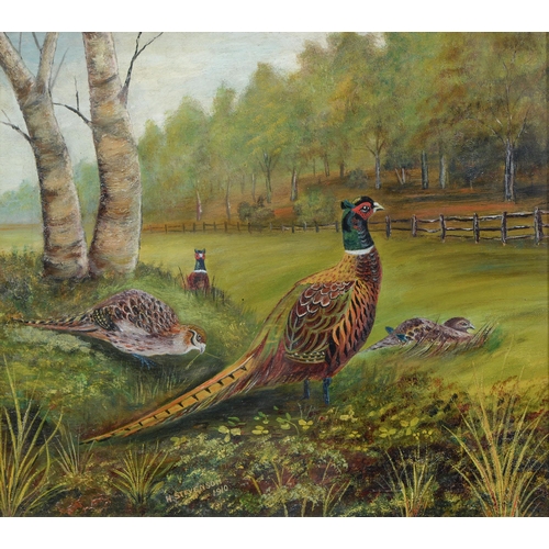 741 - H Stevenson, 1910 - Pheasants, signed and dated, oil on canvas, 28.5cm x 33.5cm