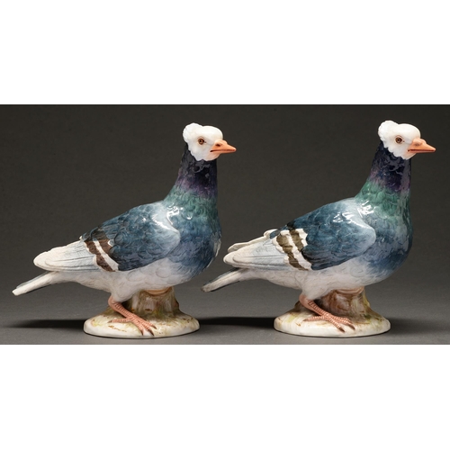 529 - Two Meissen models of pigeons, late 19th c, 18cm h, impressed numbers, incised C52, underglaze blue ... 