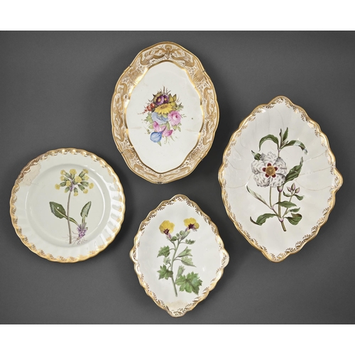 369 - Two Derby botanical dessert dishes and a dessert plate and another Derby dessert dish, c.1825, 32.5c... 