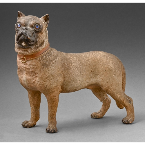 413 - An Austrian cold painted terracotta model of a pug, late 19th c, with glass eyes, 21.5cm h, painted ... 