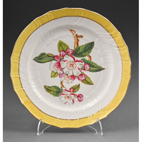 485 - An English moulded botanical dessert plate, c.1825, 21.8cm diam, blue overglaze Codlin Apple Blossom... 