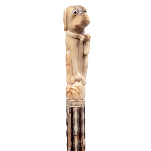 622 - A horn handled walking cane, 19th c, the handle carved with a seated dog with glass eyes, carved har... 