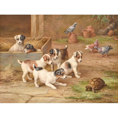 800 - Edgar Hunt (1876-1953) – Puppies in a Farmyard with a Tortoise, signed and dated 1934, oil on ... 