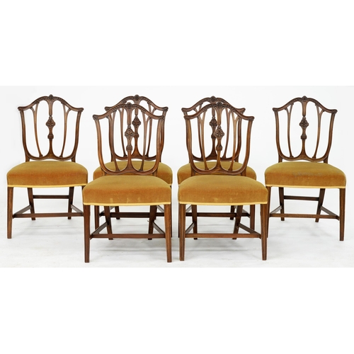 965 - A set of six George III mahogany dining chairs, the back carved with husks and paterae, on moulded s... 