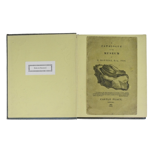 132 - Geology. Mantell (Gideon Algernon, LLD, FRS), Thoughts on a Pebble, or, A First Lesson in Geology, E... 