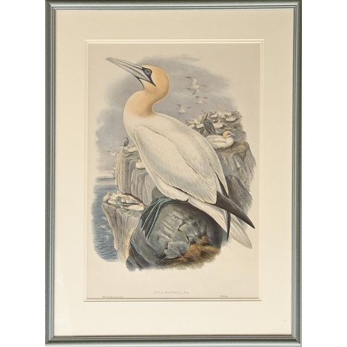 457 - Ornithology. By and after John Gould FRS (1804-1881), Henry Constantine Richter (1821-1902), et al -... 