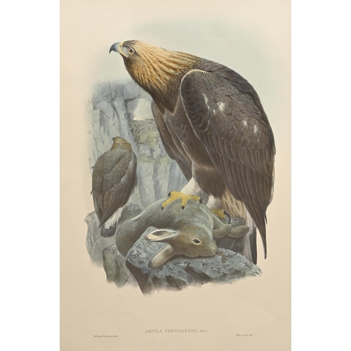 457 - Ornithology. By and after John Gould FRS (1804-1881), Henry Constantine Richter (1821-1902), et al -... 