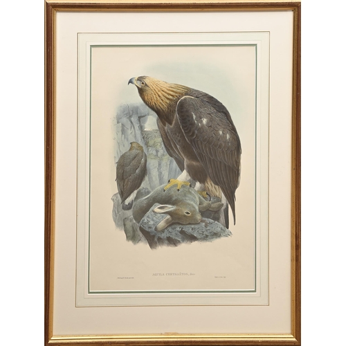 457 - Ornithology. By and after John Gould FRS (1804-1881), Henry Constantine Richter (1821-1902), et al -... 