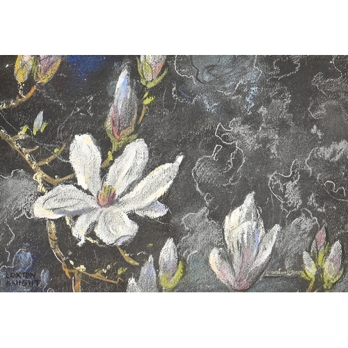 1008 - Edward Loxton Knight RBA, RI (1905-1993) - Studies for Flowerpieces, four, two signed, pastel, 21 x ... 