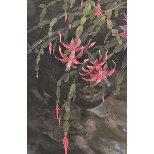 1016 - Edward Loxton Knight RBA, RI (1905-1993) - Christmas Cactus, signed, pastel and tempera on board, 75... 