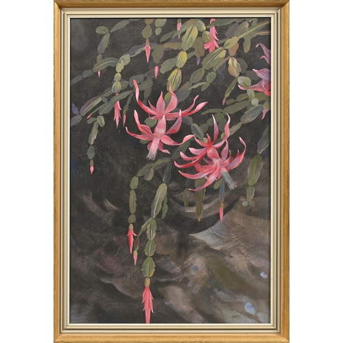 1016 - Edward Loxton Knight RBA, RI (1905-1993) - Christmas Cactus, signed, pastel and tempera on board, 75... 