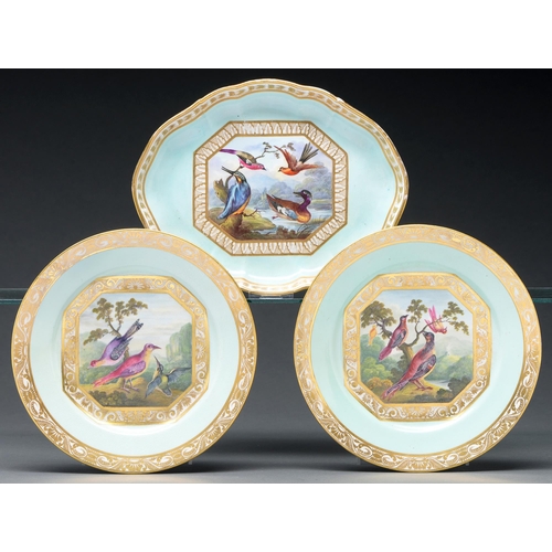 592 - A Derby shaped oval dessert dish, c 1815, painted by Richard Dodson with four vividly plumaged ... 