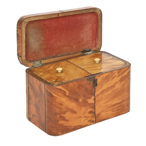 730 - An early Victorian tortoiseshell tea caddy, c 1837, of rounded rectangular shape, enclosing a l... 