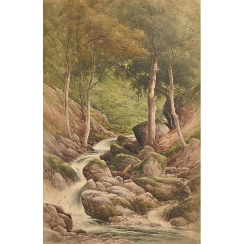 911 - Henry Martin Hope (1843-1908) - Waterfall near Betws-y-Coed, watercolour, certificate verso signed b... 