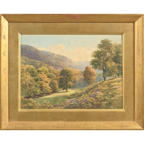 969 - Samuel Bourne (1834-1912) - Autumn Gold, Buckland Woods, Devon, signed and dated 1904, signed and ti... 