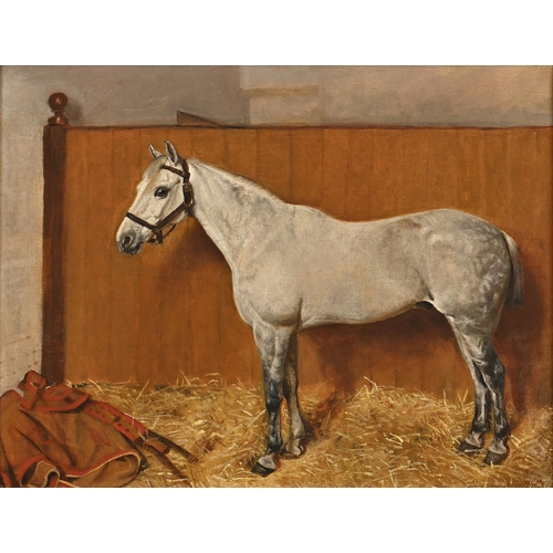 977 - Attributed to William Edward Millner (1849-1895) - Portrait of a Grey Horse in a Loose Box, signed w... 