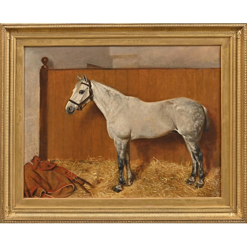 977 - Attributed to William Edward Millner (1849-1895) - Portrait of a Grey Horse in a Loose Box, signed w... 