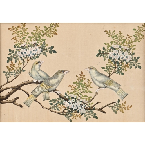 1018 - Chinese School, 19th century - Three Birds Perched on a Flowering Branch, gouache and ink on rice pa... 