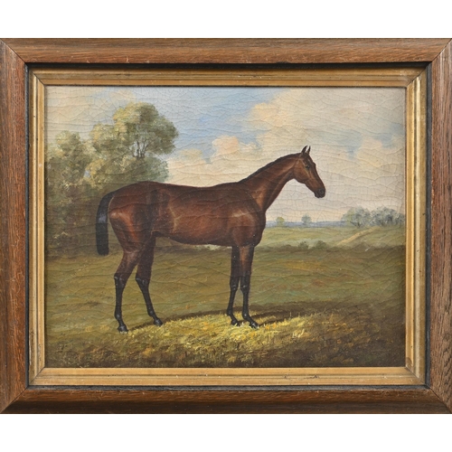 1021 - English School, 19th century - Chestnut Hunter in a Landscape, oil on canvas, 30 x 40cm... 