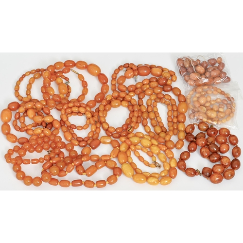 145 - Six necklaces of amber beads, two unstrung amber bead necklaces and four amber and other bead neckla... 