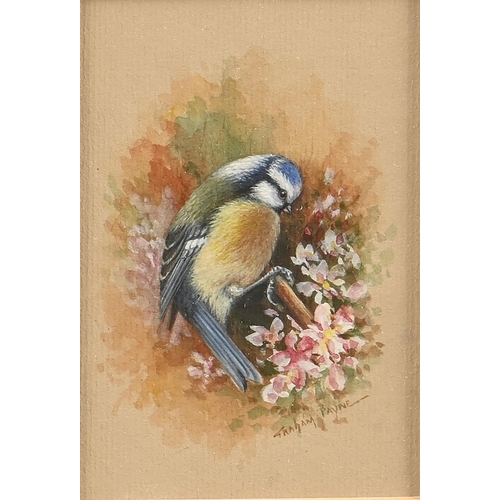 889 - Graham Payne, 20th/21st century – Goldfinch; Bluetit, a pair, both signed, watercolour and bod... 