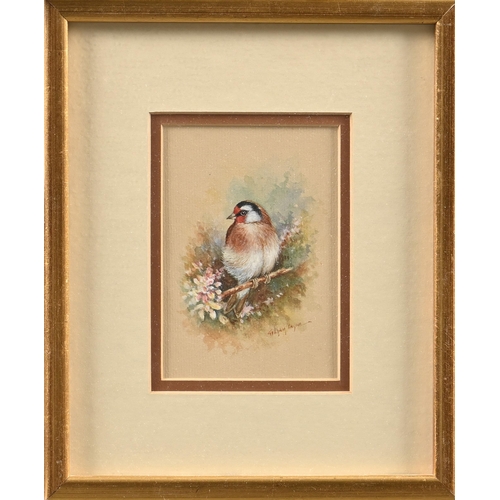 889 - Graham Payne, 20th/21st century – Goldfinch; Bluetit, a pair, both signed, watercolour and bod... 