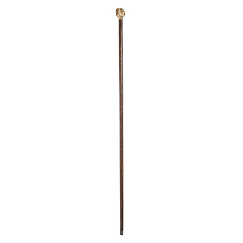 229 - A Victorian stained wood walking cane, the antler pommel carved with the head of a man, 85cm l... 