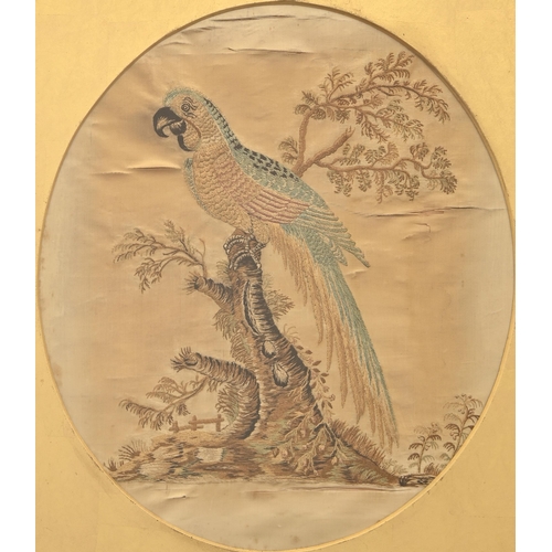 366 - A George III silk needlework picture of a parrot in a tree, oval, 36 x 30cm