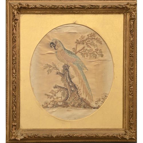 366 - A George III silk needlework picture of a parrot in a tree, oval, 36 x 30cm