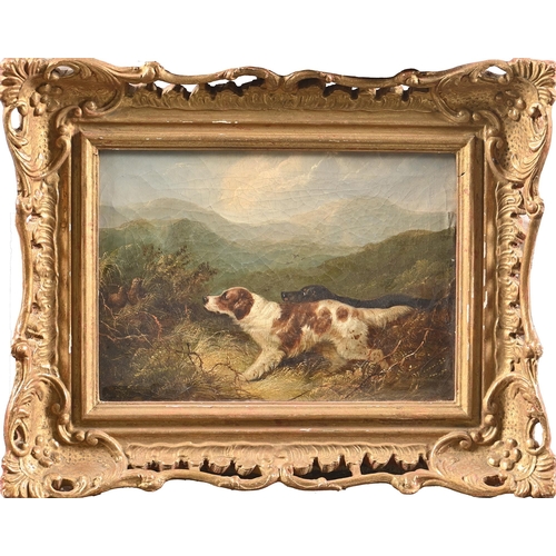 509 - Follower of George Armfield, 19th c - Two Spaniels, oil on canvas, 24 x 34cm