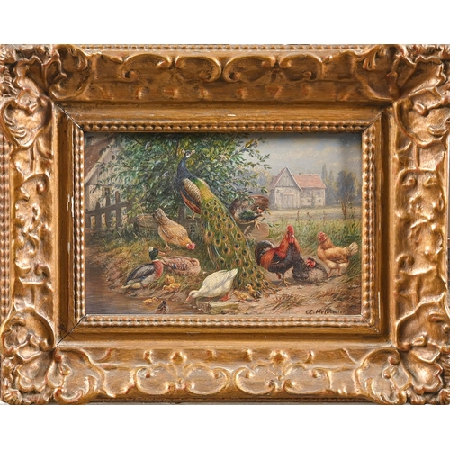 522 - German School - Peafowl and Poultry, indistinctly signed, oil on panel, 15 x 22.5cm