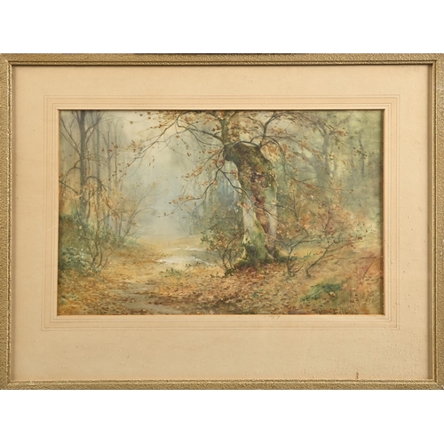 533 - Thomas Tayler Ireland (fl. 1880-1927) - Woodland Landscapes, a pair, signed, watercolours, 33.5 x 52... 