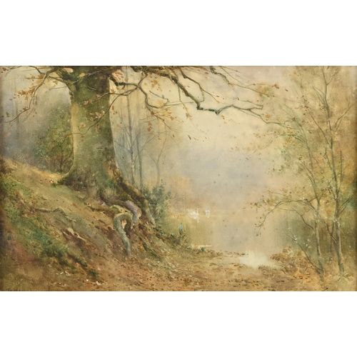 533 - Thomas Tayler Ireland (fl. 1880-1927) - Woodland Landscapes, a pair, signed, watercolours, 33.5 x 52... 