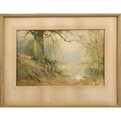 533 - Thomas Tayler Ireland (fl. 1880-1927) - Woodland Landscapes, a pair, signed, watercolours, 33.5 x 52... 