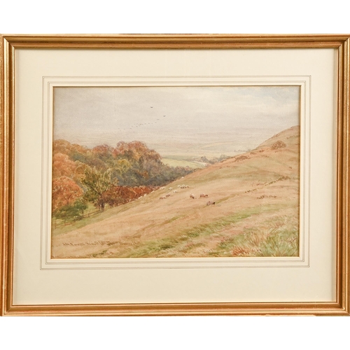 539 - Arthur Henry Enock (1828-1917) - Beacon Hill, Yorkshire, signed, titled and dated 1883, watercolour,... 