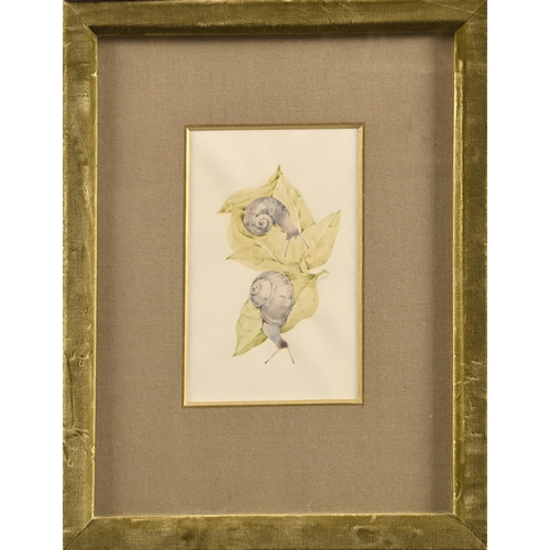 555 - Sarah Creswell (1935-2009) - Snails 3, monogrammed and dated 1980, titled Mallets label to verso, 10... 