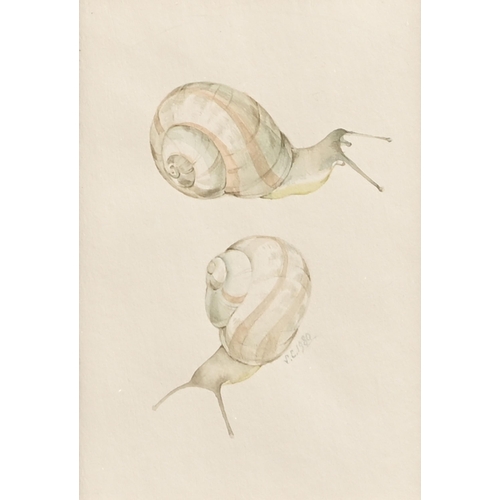 555 - Sarah Creswell (1935-2009) - Snails 3, monogrammed and dated 1980, titled Mallets label to verso, 10... 