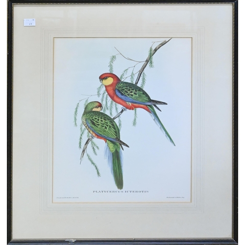 792 - Miscellaneous pictures and prints, including early 20th c ornithological and botanical studies, etc... 