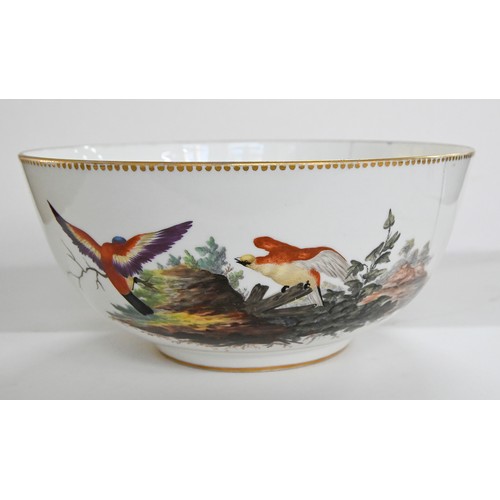 66 - An Amstel ornithological bowl, late 18th c, enamelled with exotic birds and sprigs of flowers, 21.5c... 