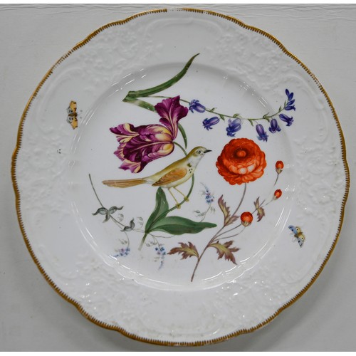 97 - Six Coalport moulded ornithological dessert plates, possibly outside-decorated, c1820, painted with ... 